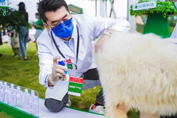 京東健康-寵物健康攜手福來恩，專業守護，助力愛寵化身“撒野英雄”