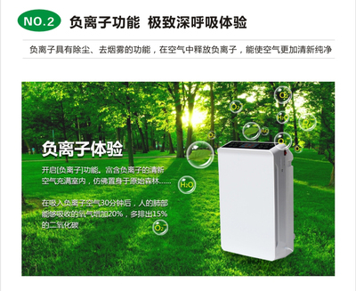 斯特亨C9-A 智能守護，凈享深呼吸——您家居空氣的健康管家